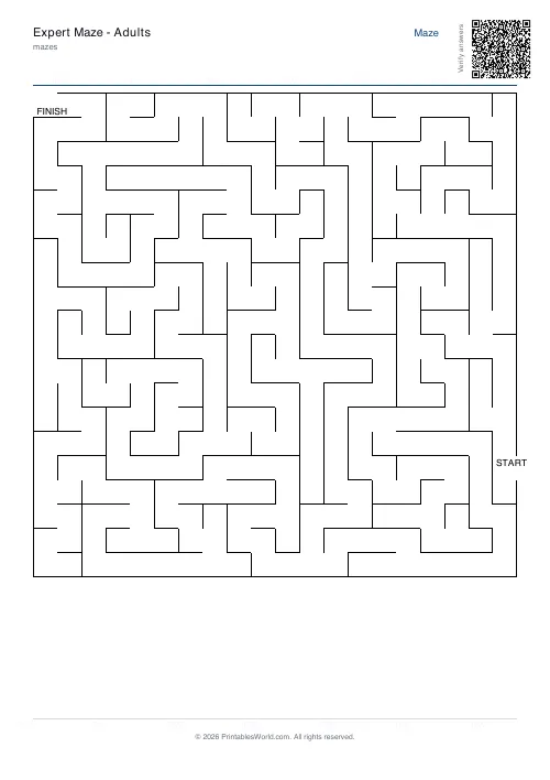 Free printable maze — 20×20 — PDF download